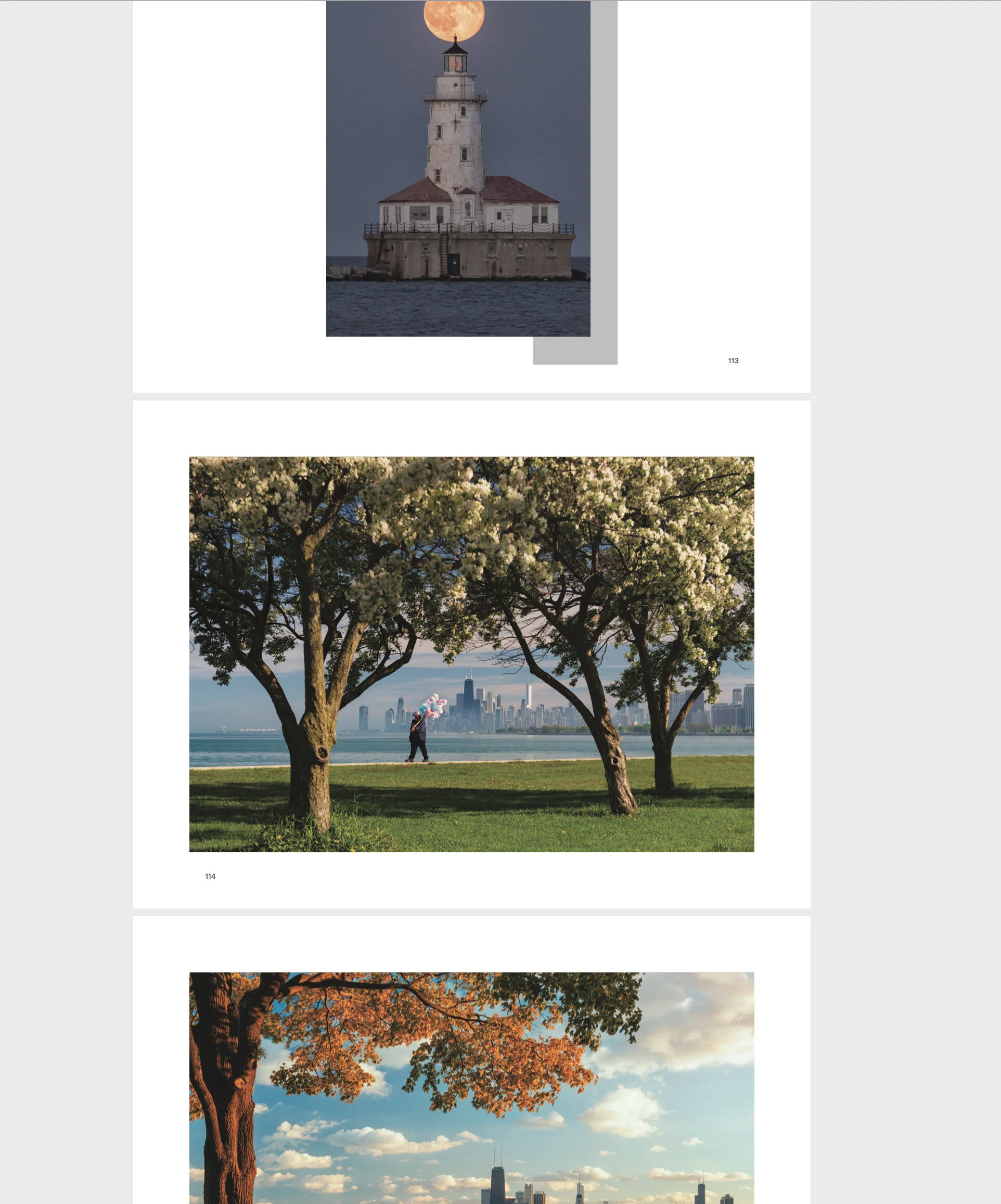 Chicago - A City Above All - Book — Barry Butler Photography